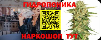 гидропоника Гусь-Хрустальный