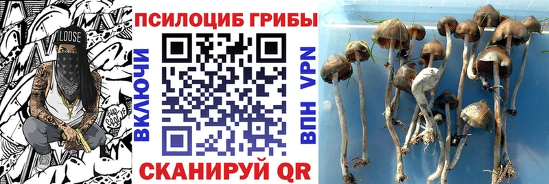 Галлюциногенные грибы MAGIC MUSHROOMS Рыбинск