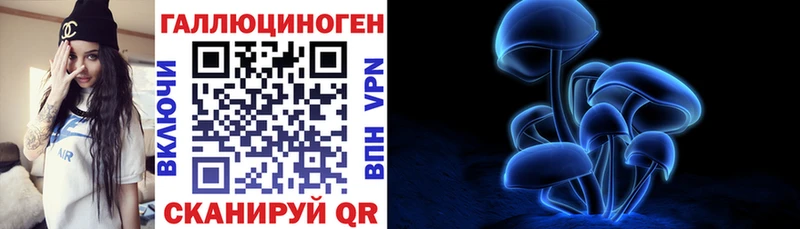 ОМГ ОМГ   Рыбинск  Галлюциногенные грибы Psilocybe 