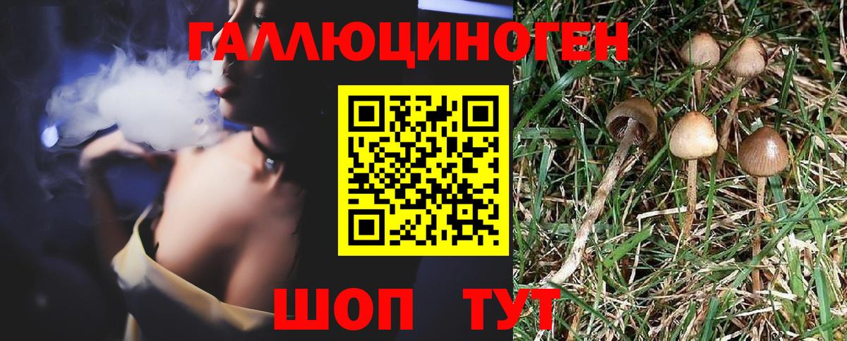 Псилоцибиновые грибы мухоморы  Псилоцибиновые грибы Magic Shrooms  Вход с VPN  Рыбинск 