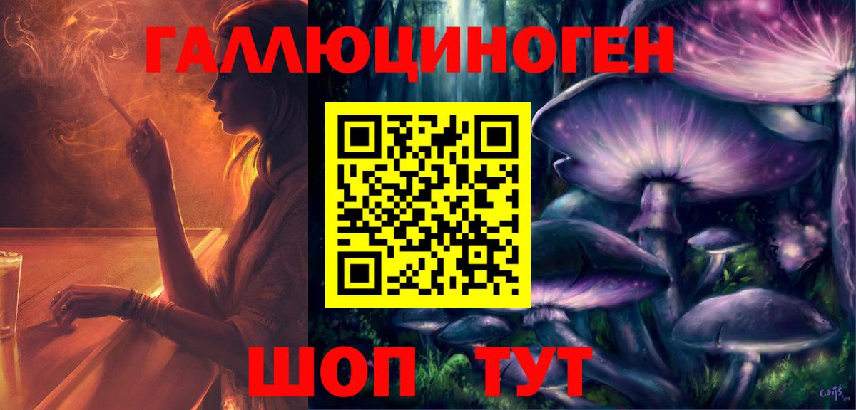 Псилоцибиновые грибы Psilocybe Рыбинск
