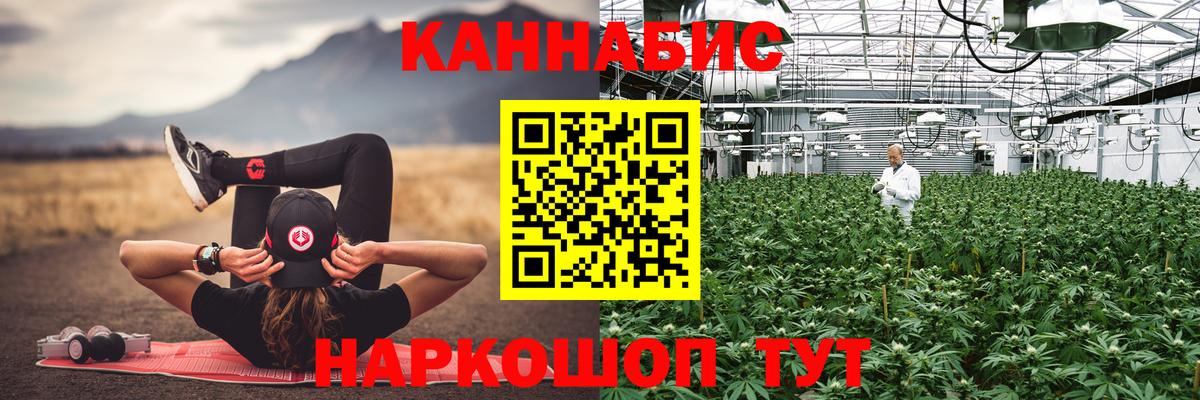 Каннабис сатива Рыбинск